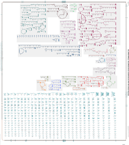 Generated by SRI International Pathway Tools Version 25.0, Authors S