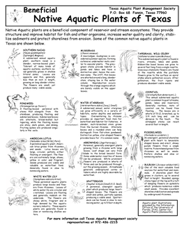 Harmful Non-Native Aquatic Plants in Texas