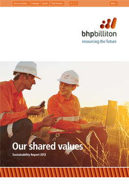 2013 BHP Billiton Sustainability Report