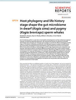 Host Phylogeny and Life History Stage Shape the Gut Microbiome in Dwarf (Kogia Sima) and Pygmy (Kogia Breviceps) Sperm Whales Elizabeth R