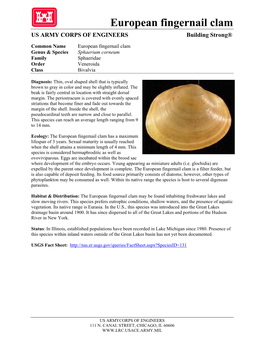 European Fingernail Clam US ARMY CORPS of ENGINEERS Building Strong®