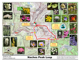 Naches Peak Loop Intended for Navigation Or Any Other Route Finding Purposes