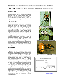 TWO SPOTTED STINK BUG Hemiptera: Pentatomidae Perillus Bioculatus ______DESCRIPTION