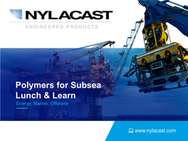 Polymers for Subsea Lunch & Learn