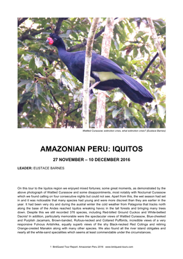 Amazonian Peru: Iquitos