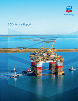 2013 Chevron Annual Report