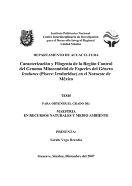 Caracterización Y Filogenia De La Región Control Del Genoma Mitocondrial De Especies Del Género Ictalurus (Pisces: Ictaluridae) En El Noroeste De México