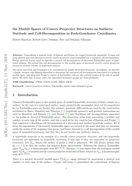 On Moduli Spaces of Convex Projective Structures on Surfaces: Outitude and Cell-Decomposition in Fock-Goncharov Coordinates