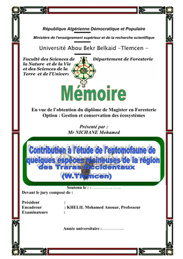 Université Abou Bekr Belkaid –Tlemcen