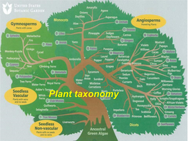 Plant Taxonomy Plant Taxonomy - a Branch of Science, That Finds, Identifies, Describes, Classifies, and Names Plants