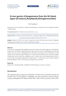 ﻿A New Species of Jesogammarus from the Iki Island, Japan (Crustacea, Amphipoda, Anisogammaridae)