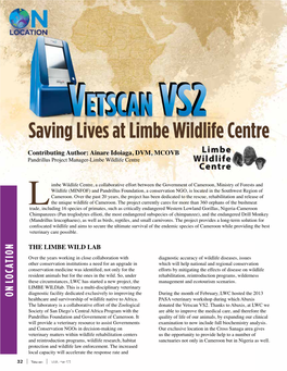 Saving Lives at Limbe Wildlife Centre