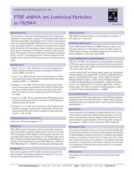 PTRF Shrna (M) Lentiviral Particles: Sc-76294-V