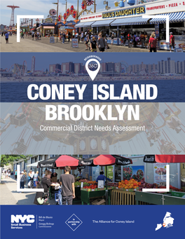 CONEY ISLAND BROOKLYN Commercial District Needs Assessment