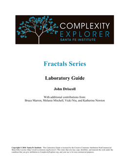 Fractals Series