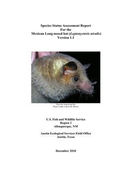 Species Status Assessment Report for the Mexican Long-Nosed Bat (Leptonycteris Nivalis) Version 1.1