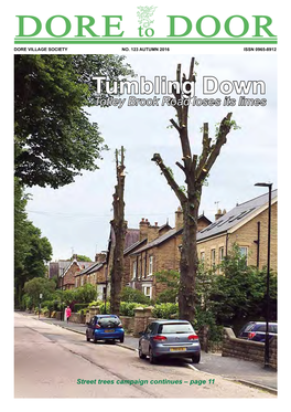 Tumbling Down Totley Brook Road Loses Its Limes