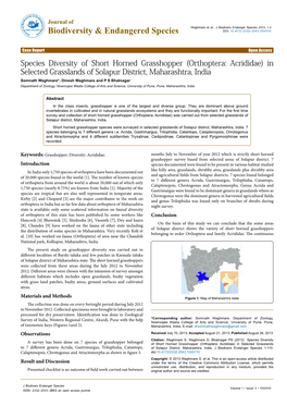 Species Diversity of Short Horned Grasshopper (Orthoptera: Acrididae) in Selected Grasslands of Solapur District, Maharashtra, I