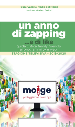 Di Zapping Un Anno