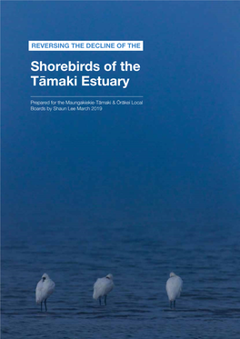Shorebirds of the Tāmaki Estuary