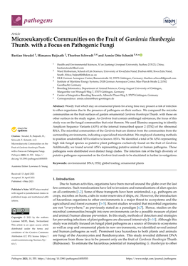 Microeukaryotic Communities on the Fruit of Gardenia Thunbergia Thunb. with a Focus on Pathogenic Fungi