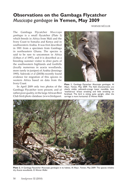 Observations on the Gambaga Flycatcher Muscicapa Gambagae in Yemen, May 2009 WERNER MÜLLER