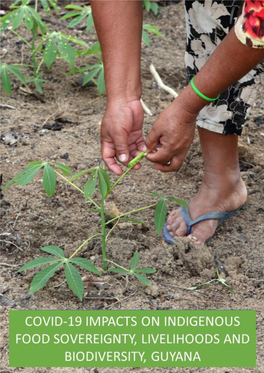 Covid-19 Impacts on Indigenous Food Sovereignty, Livelihoods and Biodiversity, Guyana