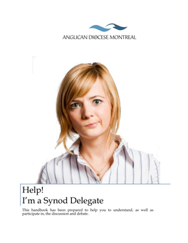 Help! I'm a Synod Delegate