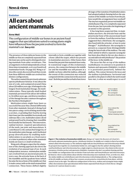 Ears About Ancient Mammals