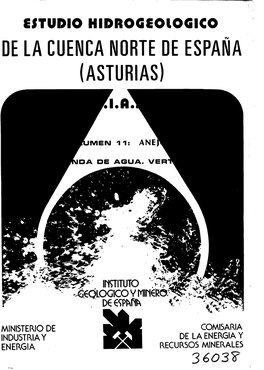 Estudio Hidrogeoiogico N De La Cuenca Norte.De Espana (Asturias)