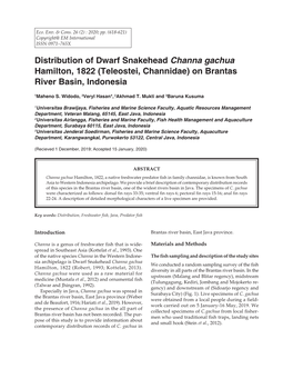 Distribution of Dwarf Snakehead Channa Gachua Hamilton, 1822 (Teleostei, Channidae) on Brantas River Basin, Indonesia