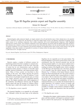 Type III Flagellar Protein Export and Flagellar Assembly