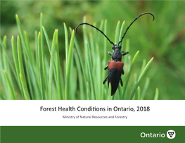 Forest Health Conditions in Ontario, 2018 Ministry of Natural Resources and Forestry Forest Health Conditions in Ontario, 2018
