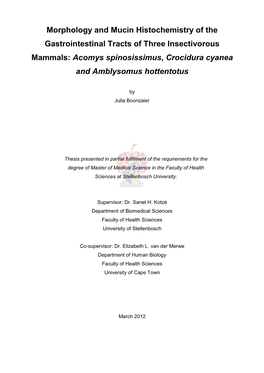 Morphology and Mucin Histochemistry of the Gastrointestinal Tracts of Three Insectivorous Mammals: Acomys Spinosissimus, Crocidura Cyanea and Amblysomus Hottentotus