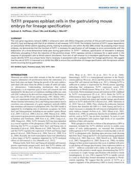 Tcf7l1 Prepares Epiblast Cells in the Gastrulating Mouse Embryo for Lineage Specification Jackson A