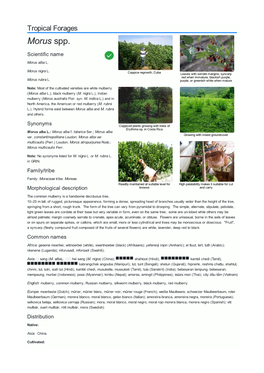 Tropical Forages