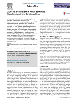 Glucose Metabolism in Nerve Terminals