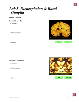 Lab 5. Diencephalon & Basal Ganglia