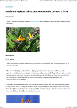 Strelitzia Reginae Subsp. Mzimvubuensis | Plantz Africa About:Reader?Url=