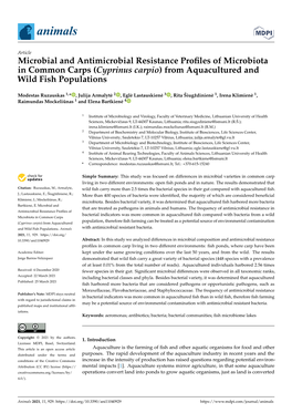 Cyprinus Carpio) from Aquacultured and Wild Fish Populations