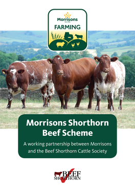 Morrisons Shorthorn Beef Scheme a Working Partnership Between Morrisons and the Beef Shorthorn Cattle Society