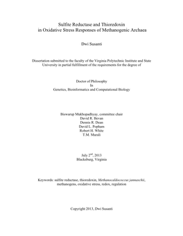 Sulfite Reductase and Thioredoxin in Oxidative Stress Responses of Methanogenic Archaea