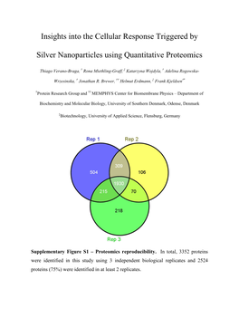 Insights Into the Cellular Response Triggered by Silver Nanoparticles