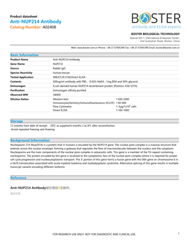 Datasheet A02408 Anti-NUP214 Antibody