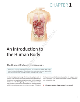 CHAPTER 1 an Introduction to the Human Body