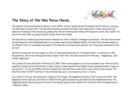 The Story of the Nez Perce Horse…