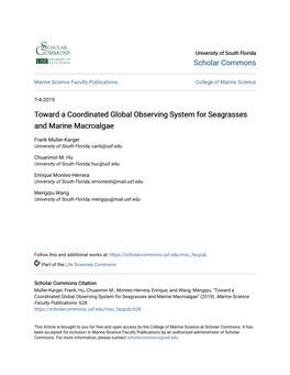 Toward a Coordinated Global Observing System for Seagrasses and Marine Macroalgae