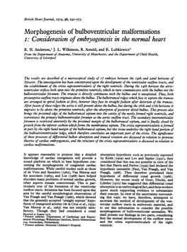 I: Consideration of Embryogenesis in the Normal Heart R