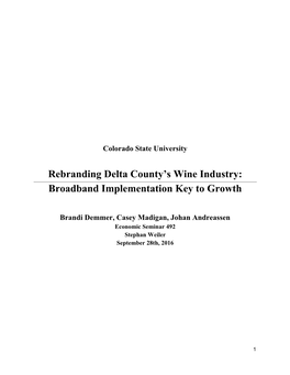 Rebranding Delta County's Wine Industry