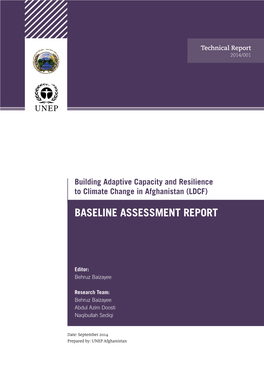 Baseline Assessment Report